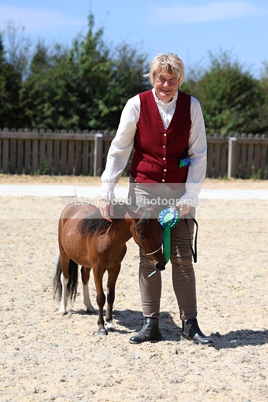 3E7A9526 - Class 30: Mnititature Horse
