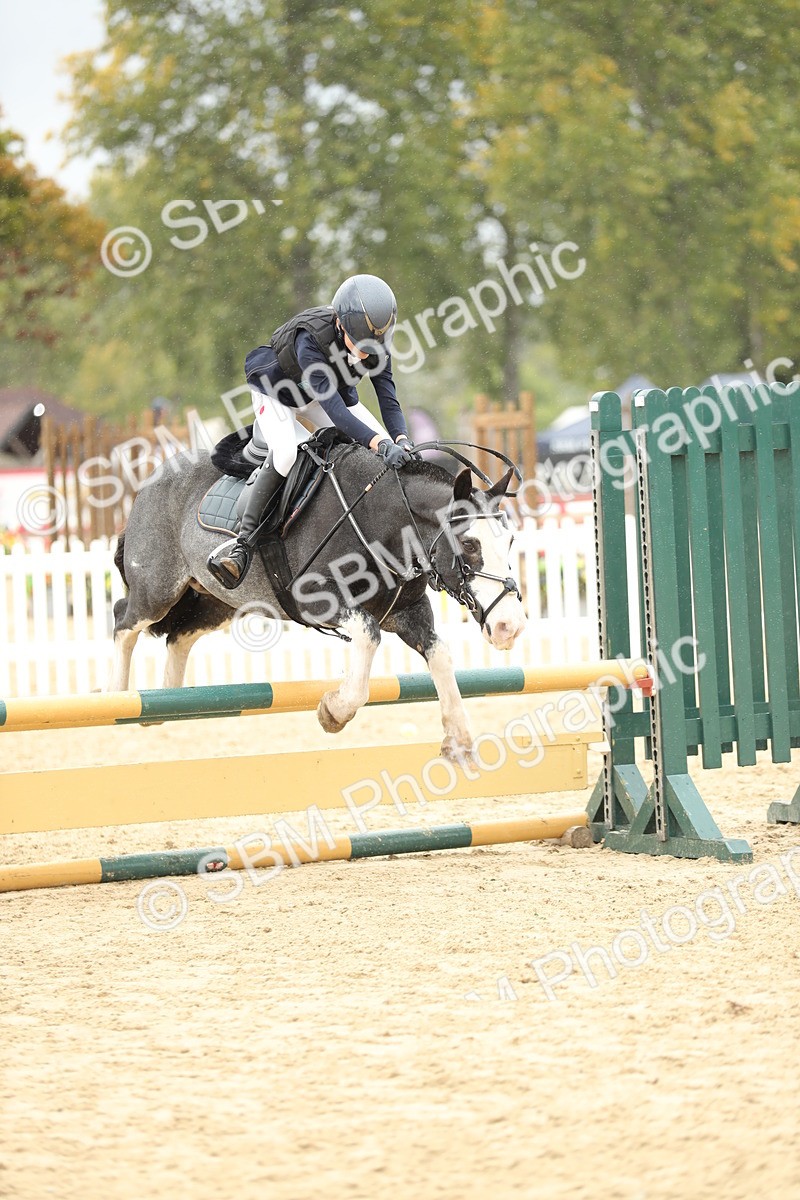SBM_70289 - J15 - Junior Pony 70cm Championship