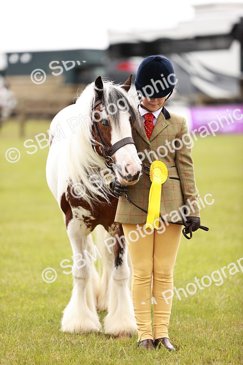 SBM_06075 - Class 39-41 TGCA In Hand and Ridden