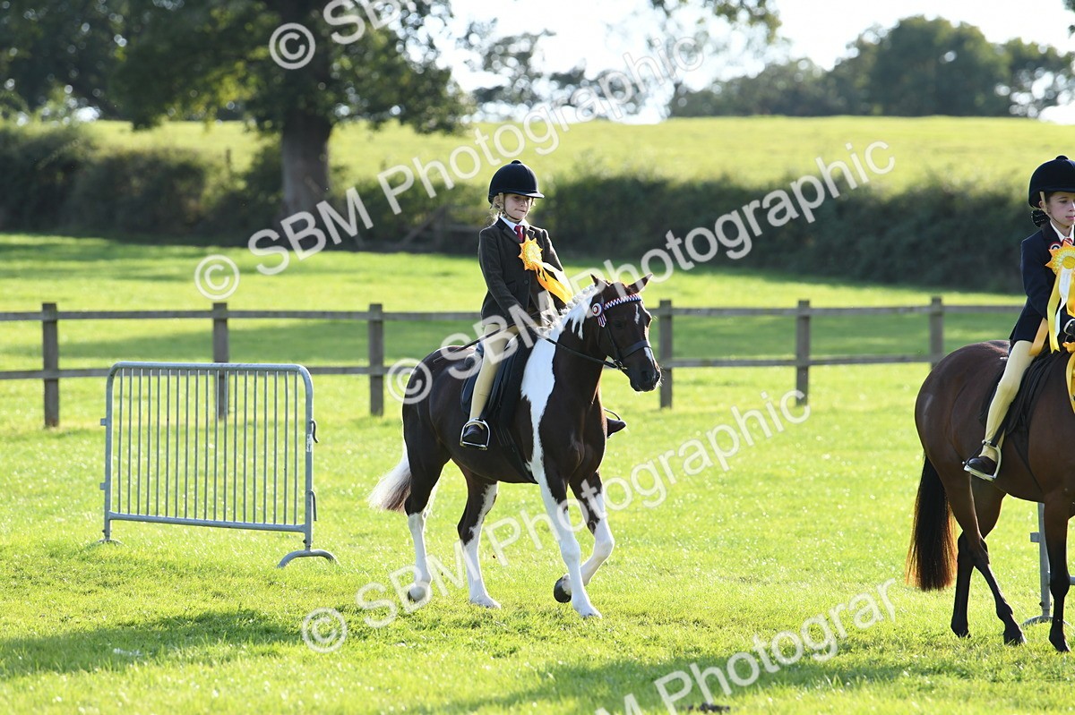 SBM_52462 - S22 - 1st Ridden Show & Show Hunter Pony