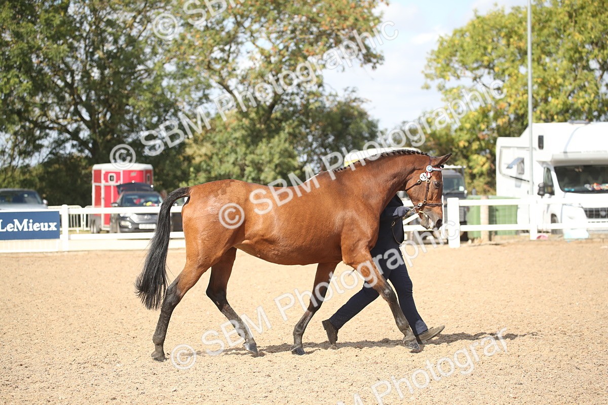 SBM_23403 - Class 604 - 2026 - Area IH Diamond