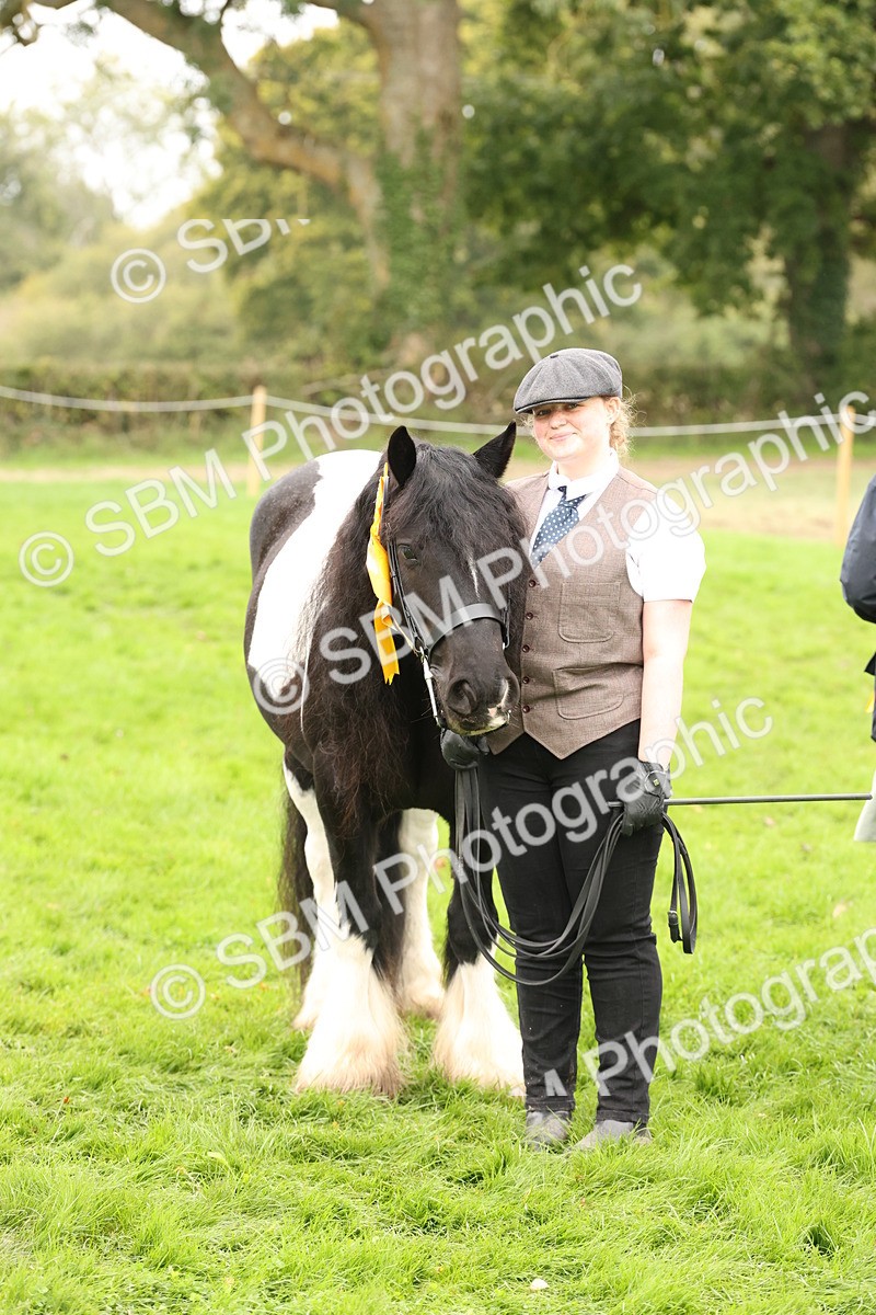 SBM_59373 - S57 - Traditional Cob In Hand