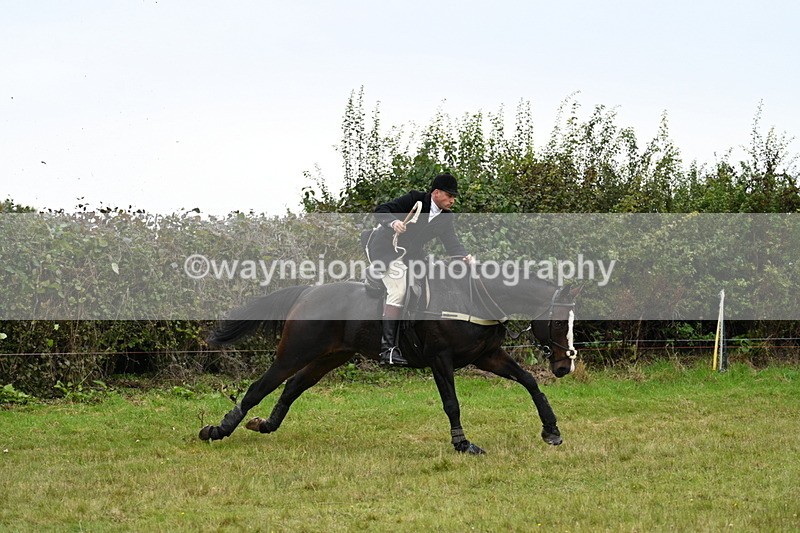 WJ7_4050 - Camera 1 Line 2