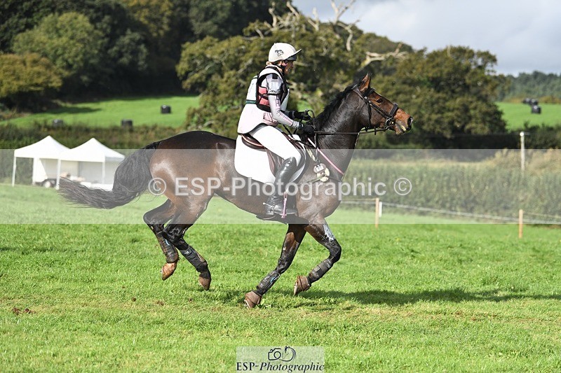 231020-115726-07271 - 057-OVERTON.TILANA'S.GOLD-Claire.Deuten-XC