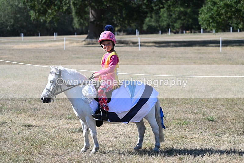 WJ7_2496 - Class 45 Fancy Dress (My Fav)