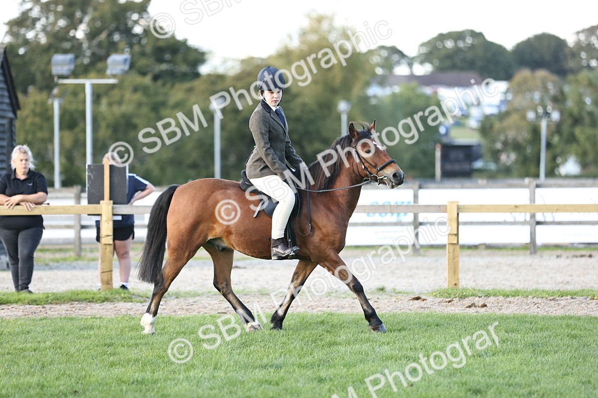 SBM_29559 - S7 - Novice & Newcomers Ridden Pony