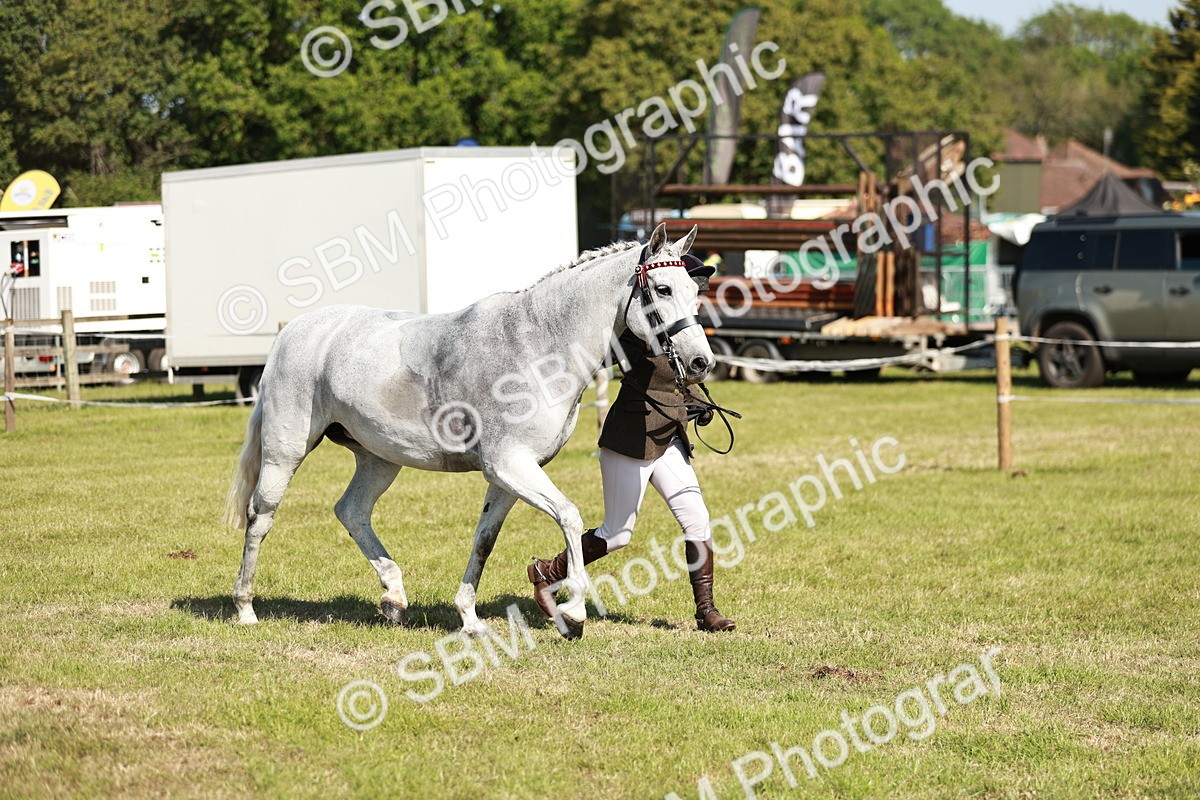 SBM_18902 - Class 114 - RIHS & SEIB Open Working Show Horse