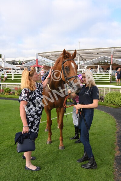 yr23072021r2-42 - Race 2 6.30pm IRE-Incentive It Pays To Buy Irish Stakes