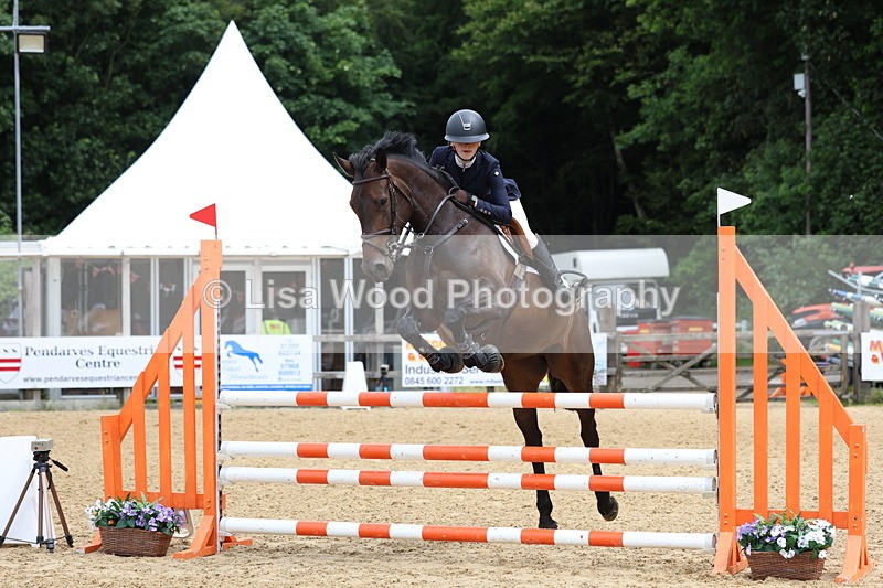3E7A6425 - Class 4: Senior British Novice/90cm open