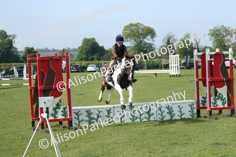 20260426-0239 - Class 13 - Rookie Jumping 50cm