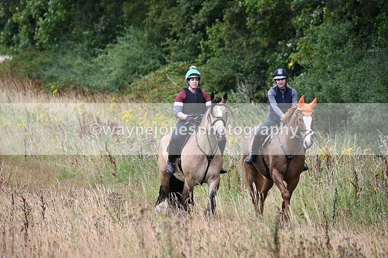 WJ6_2466 - Group 7