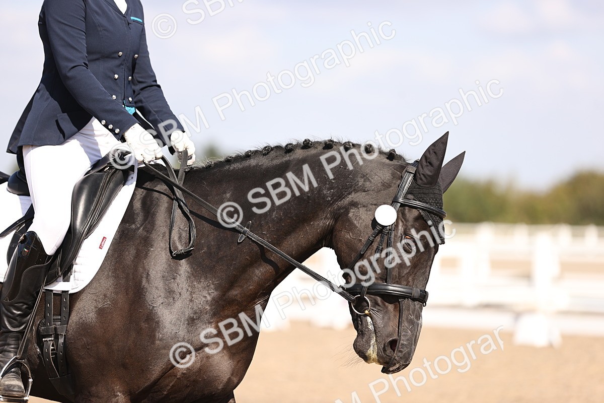 SBM_03494 - CLass 35 Intro 3