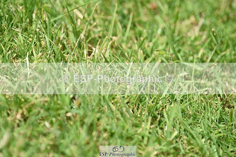 240605-115648-00845 - Cls 2 Prelim 19 SQ