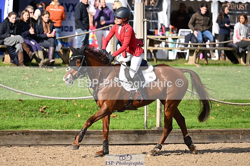 251024A-121606-10286 - C-206-Madison.Tapner