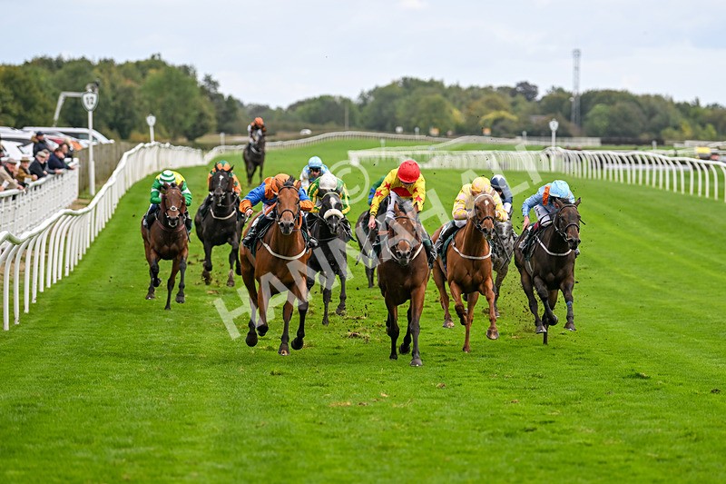 021024-Race 5-Homer Stokes-9521 - Race 5