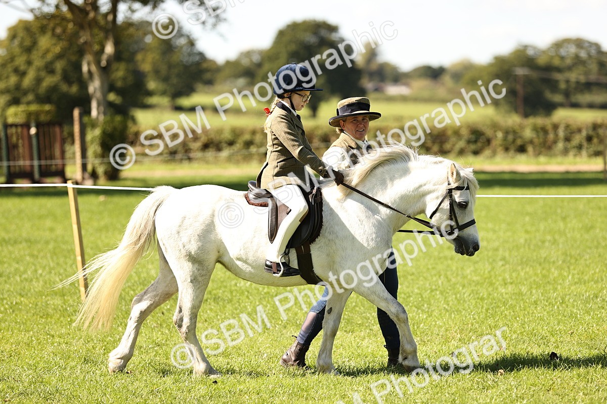 SBM_19203 - S3 - TSR Ridden Pony Showing