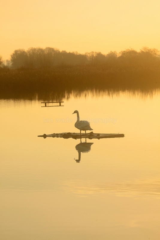  - Somerset landscape Photography