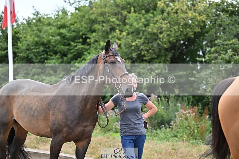 250716-135601-00707 - Trot Up 1.30 to 2.30