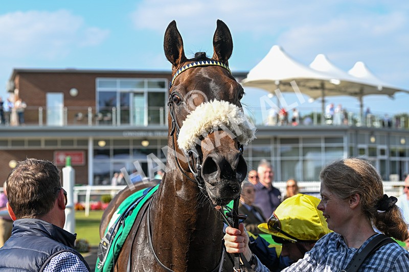 300824-Race 5-Shesashambles-6301 - Race 5