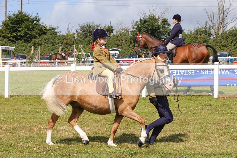 1X9A3710 - Class 29: Lead Rein SP/SHP