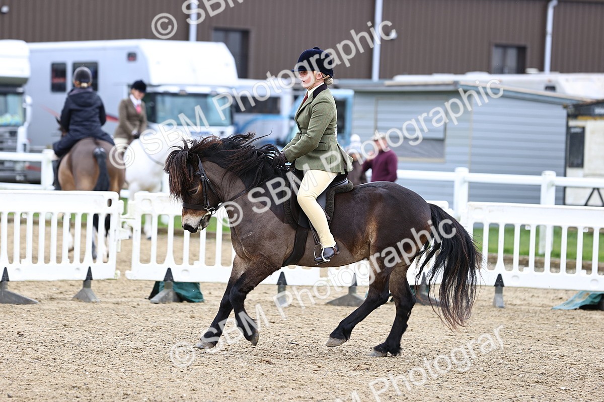 SBM_006807 - Class 29 - 30 - M&M Pure Novice Small-Large Breeds