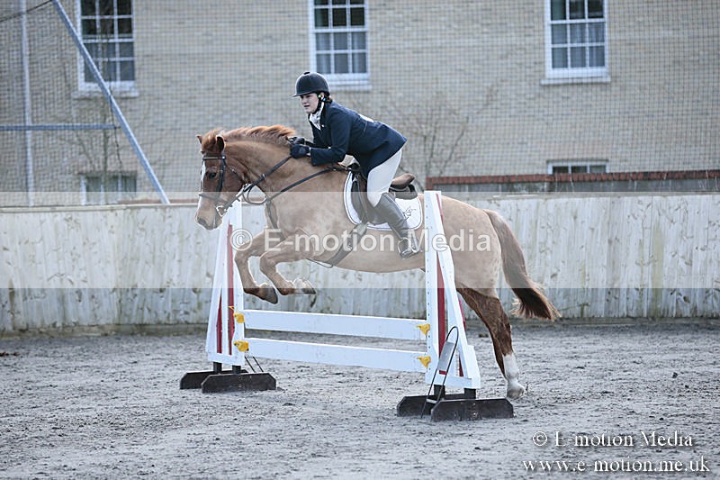 BVRC SJ 170319 213 - Bourne Valley Riding Club Showjumping 17/03/19