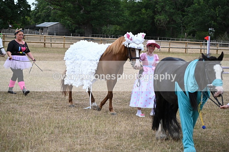 WJ6_8704 - Class 11 Fancy Dress