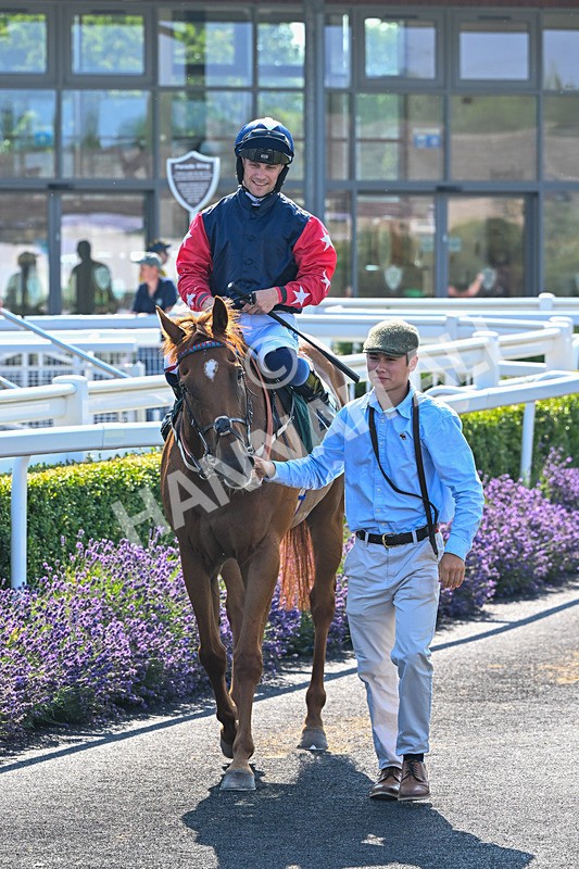 150726-Race 6-Our Absent Friends-3731 - Race 6 16.40pm Racing Again 22nd July Handicap