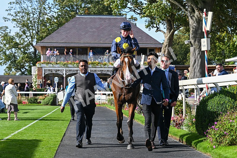 060926-Race 5-Extremely Zain-8543 - Race 5 3.50pm Starman At Tally Ho Stud Garrowby Stakes