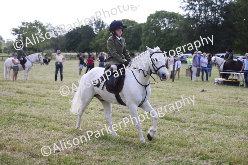 20260614-0669 - Class 20 - Beginners Working Hunter Pony