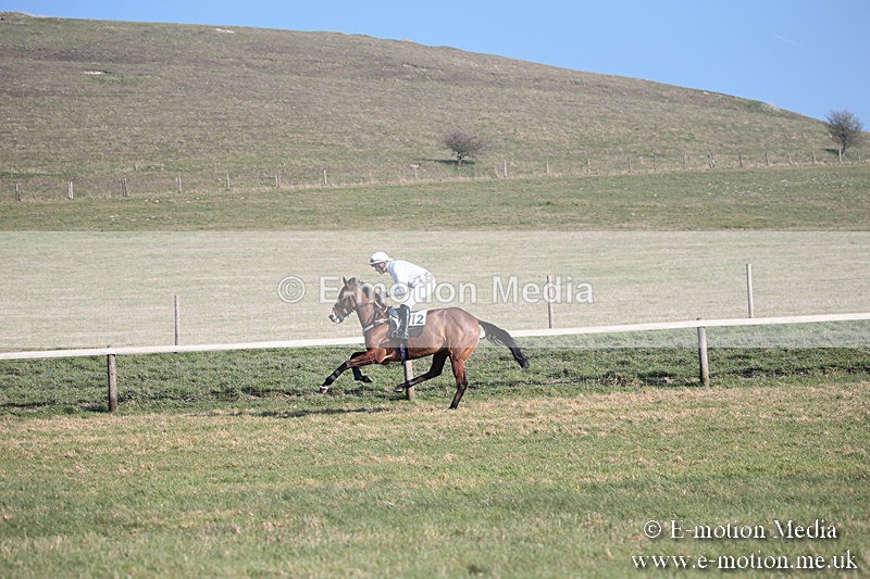 PtP 230219 140 - Vine & Craven Point-To-Point - Barbury 23/02/19