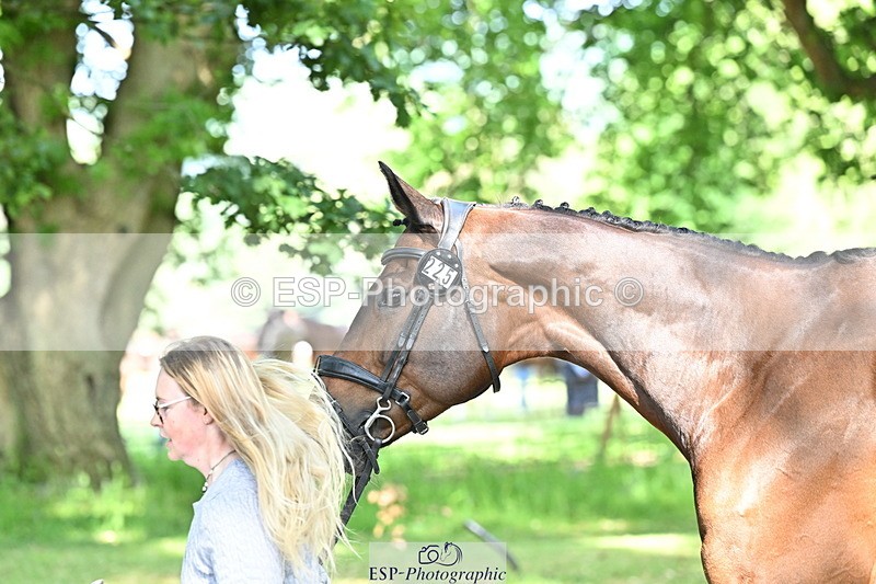 250521A-163532-01229 - C-225-Molly.Adams-QUINARA