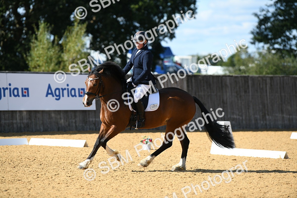 SBM_25037 - D13 - Grand Tour Championship - Prelim 12