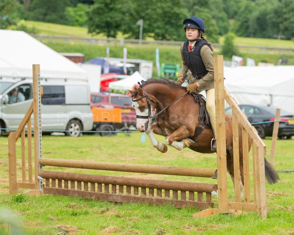 Dunblane show-14 - Dunblane and Doune Show Ring 1