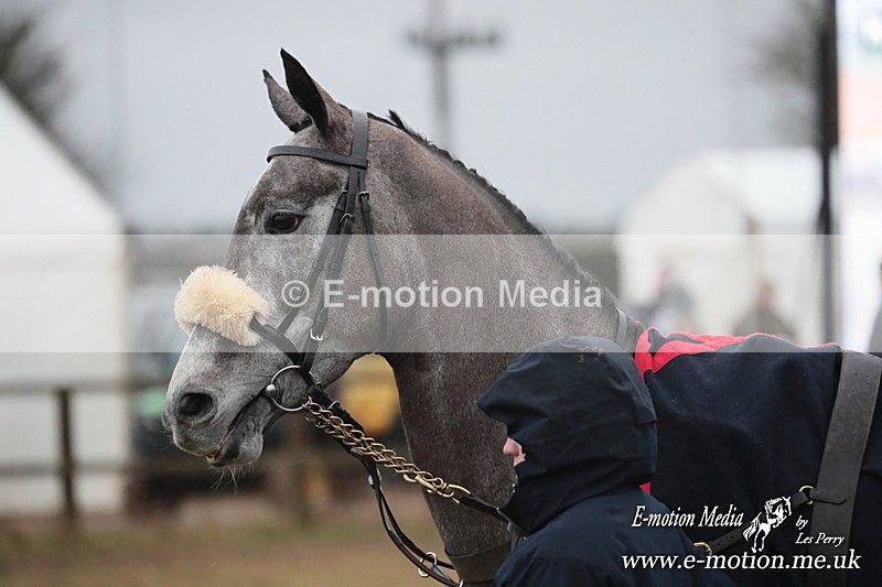 PtP 260125 977 - Cocklebarrow Point-to-Point racing with the Heythrop Hunt 26/01/25