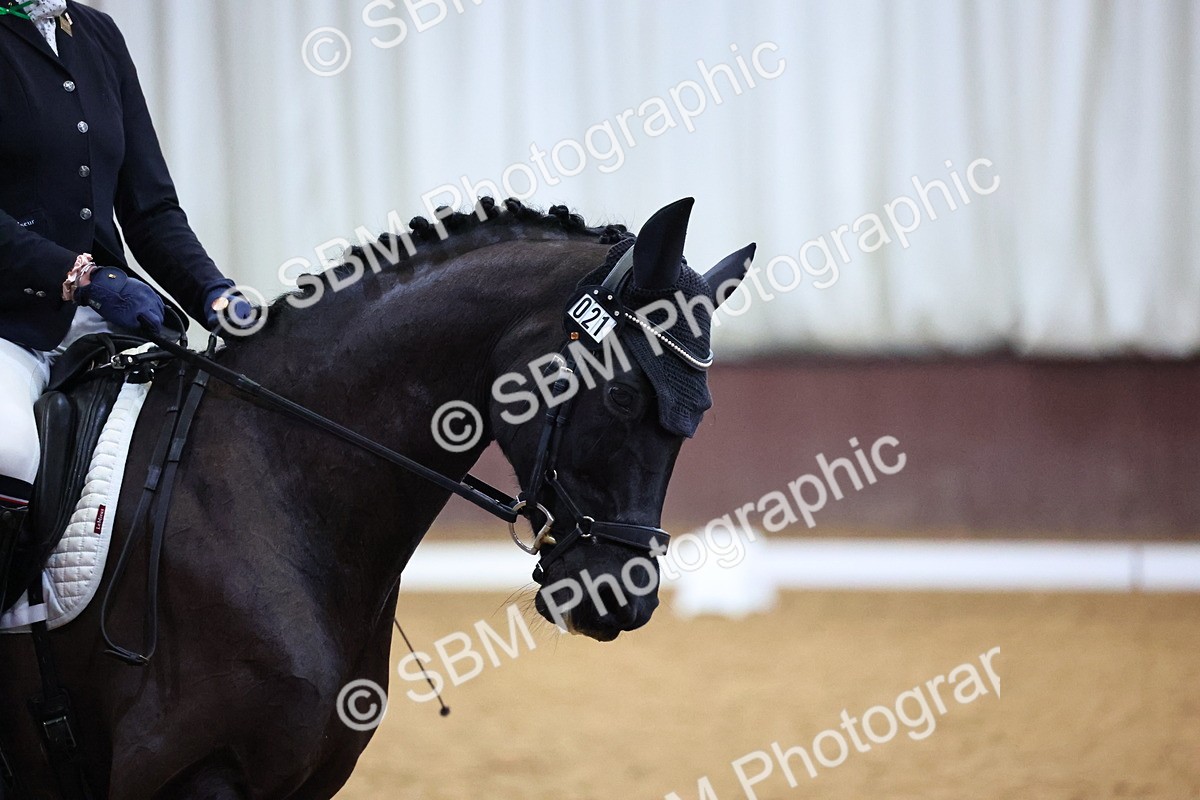 SBM_001228 - Class 5-6 - E4-E5