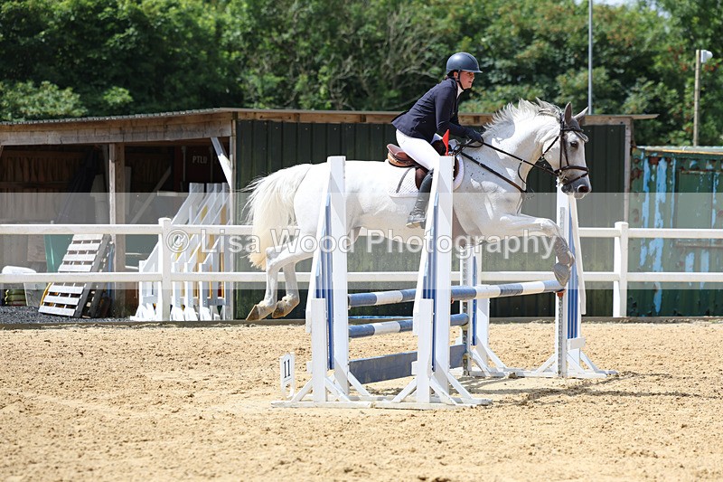 3E7A3185 - Class 4: Senior British Novice/90cm open