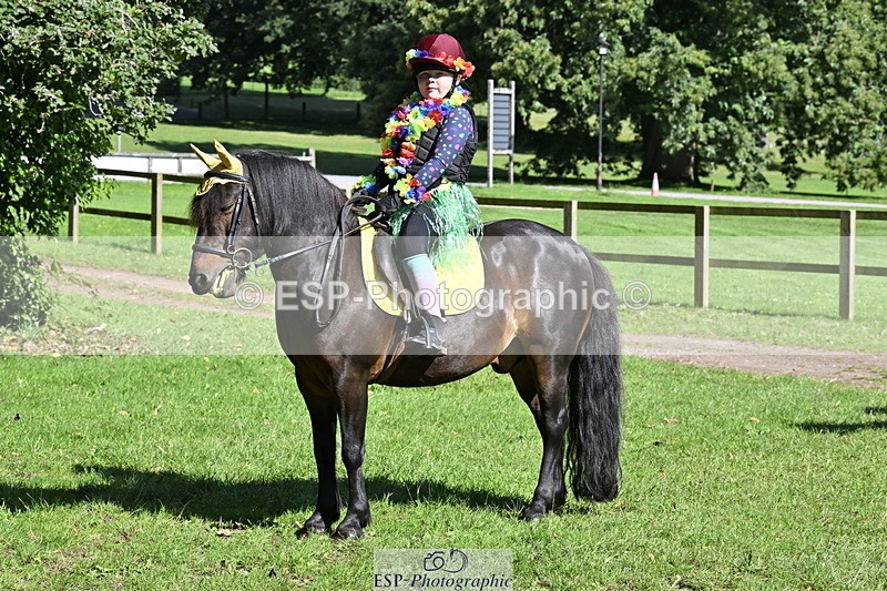 240728B-095100-00207 - Sunday Stable Shots and Fancy Dress