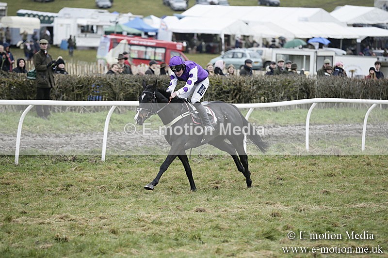 PtP 020418 -478 - Old Berks Point-to-Point Races Easter Monday 02/04/18