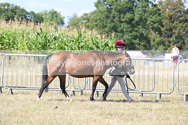 WJ6_4467 - Class 17 Mountain & Moorland
