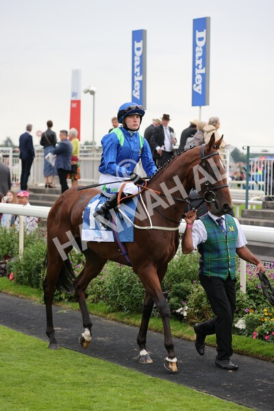 yr19082021r5-16 - Race 5 4.10pm OR8wellness ebfstallions Nursery Handicap
