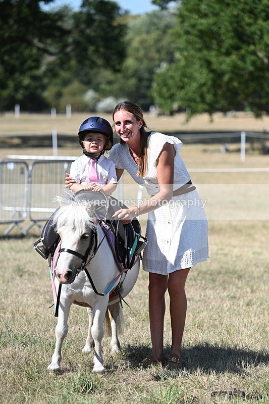 WJ7_1386 - Class 41 Prettiest Mare