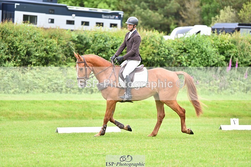 240523B-101200-01716 - 4 Year Old