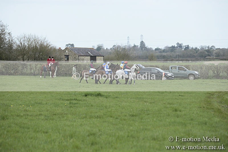 PtP 230319 72 - VWH Hunt Siddington Point-to-Point Racing 23/03/19
