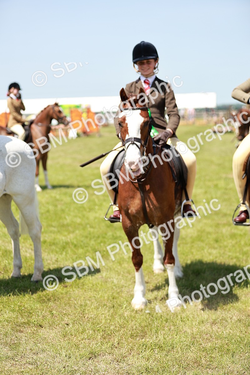SBM_15724 - Class 108-109 - BSPS LIHS Open Gradle & Nursery Stakes