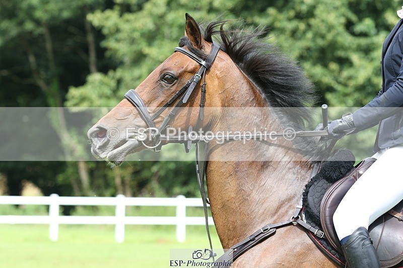 230708-152555-14887 - Cls 24 1.40 Open