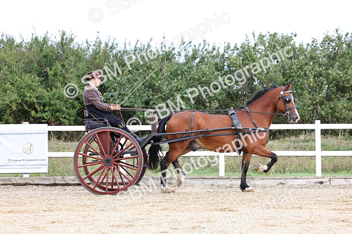 SBM_000740 - Class 6 - Exercise Vehicle 13.2 and over