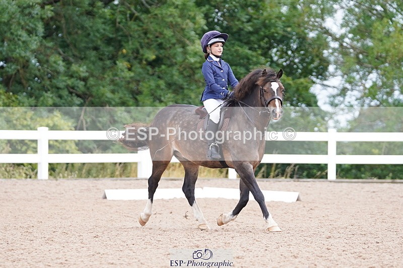 240809A-095716-00371 - Dressage Competition