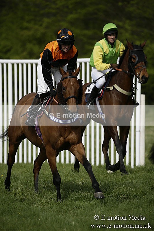PtP 170417 274 - Old Berks Point-to-Point Lockinge 17/04/17