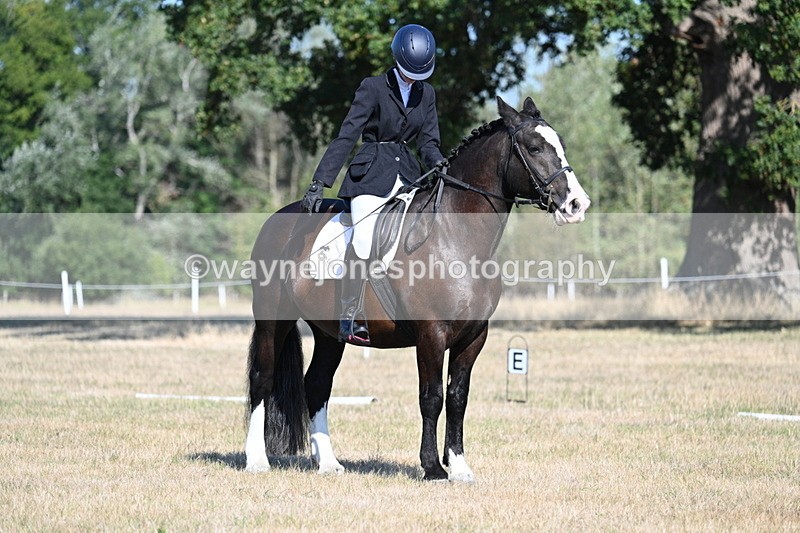 WJ7_9163 - Time 09:27 to 10:03